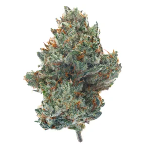 Pre 98 Bubba Kush