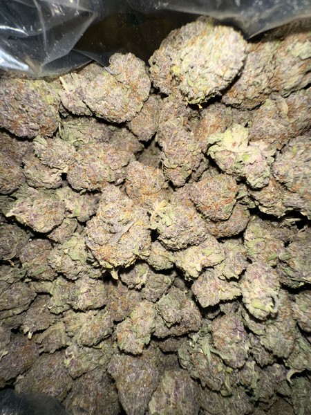 Purple Panty Dropper Strain